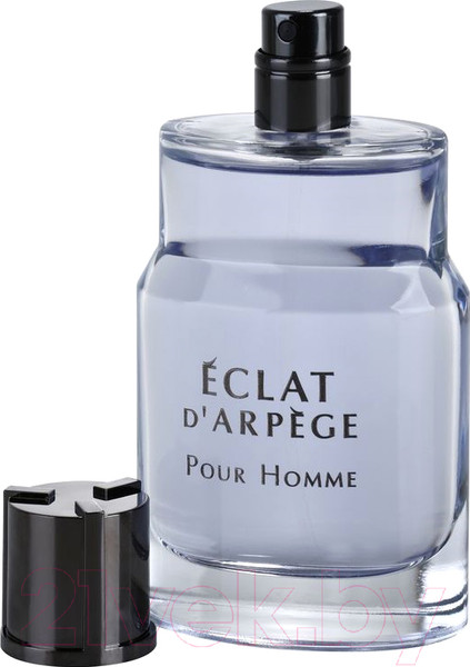 Изображение товара Туалетная вода Lanvin Eclat D'arpege Pour Homme (30мл)