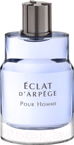 Изображение товара Туалетная вода Lanvin Eclat D'arpege Pour Homme (30мл)