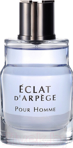 Изображение товара Туалетная вода Lanvin Eclat D'arpege Pour Homme (100мл)