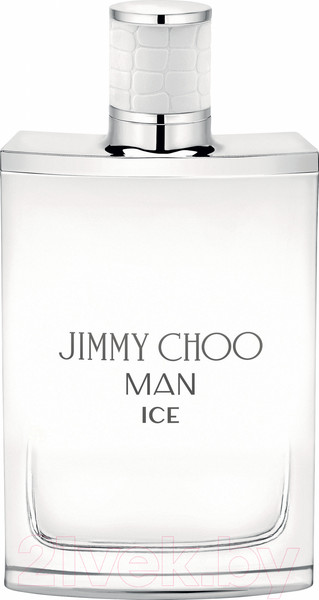 Изображение товара Туалетная вода Jimmy Choo Man Ice (100мл)