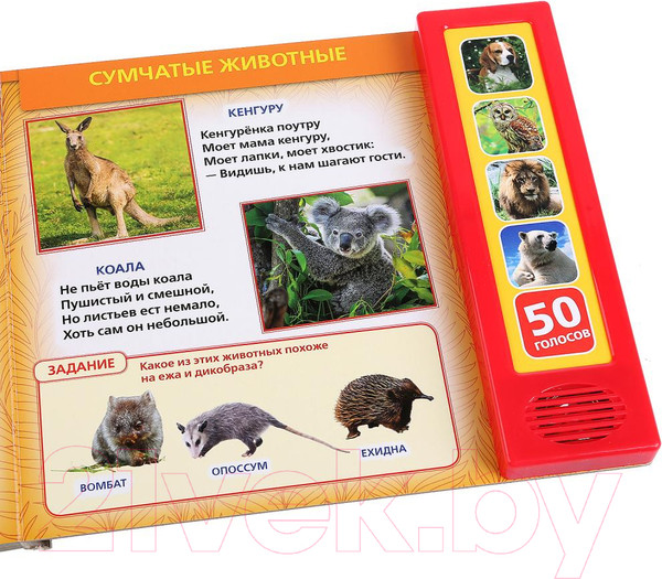 Изображение товара Музыкальная книга Умка 50 голосов природы