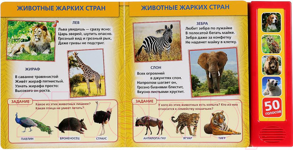 Изображение товара Музыкальная книга Умка 50 голосов природы