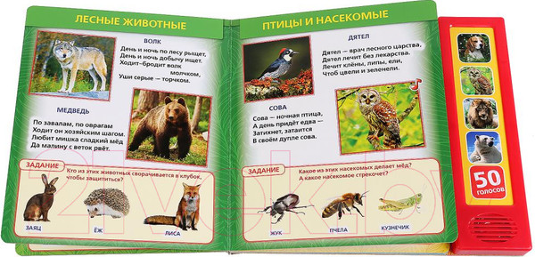 Изображение товара Музыкальная книга Умка 50 голосов природы