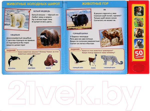 Изображение товара Музыкальная книга Умка 50 голосов природы