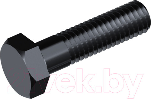 Изображение товара Болт Forch 100316120