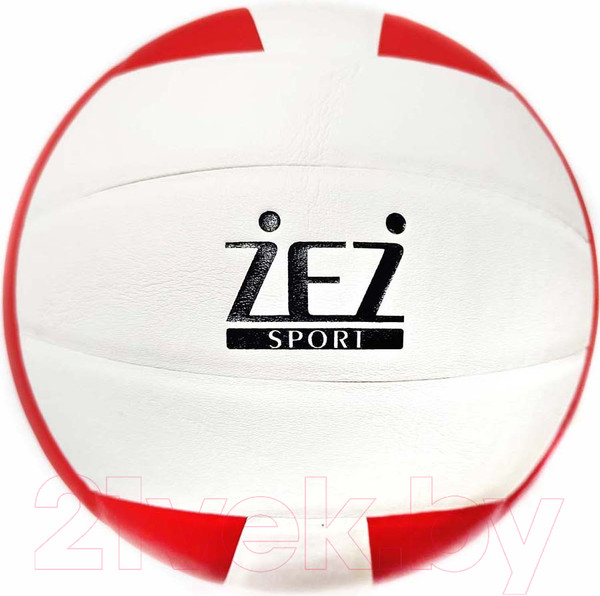 Изображение товара Мяч волейбольный ZEZ Sport VQ2000