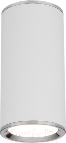 Изображение товара Точечный светильник Elektrostandard DLN101 GU10 WH (белый)
