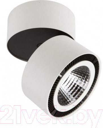 Изображение товара Точечный светильник Lightstar Forte Muro 213850