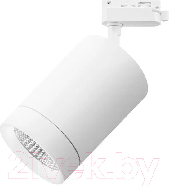 Изображение товара Трековый светильник Lightstar Canno 303262