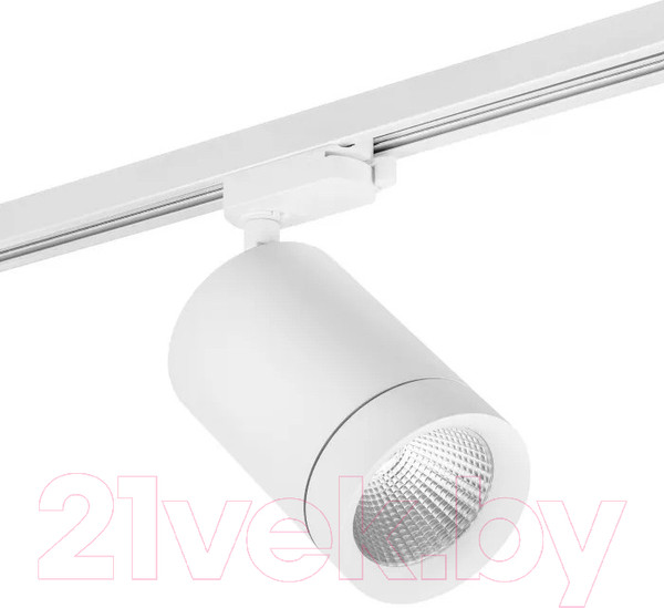 Изображение товара Трековый светильник Lightstar Canno 303262