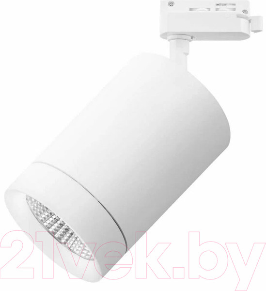 Изображение товара Трековый светильник Lightstar Canno 303264
