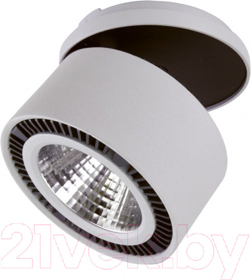 Изображение товара Точечный светильник Lightstar Forte Inca 213849