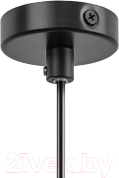 Изображение товара Потолочный светильник Lightstar Loft 765027