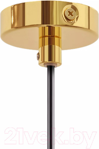 Изображение товара Потолочный светильник Lightstar Loft 765018