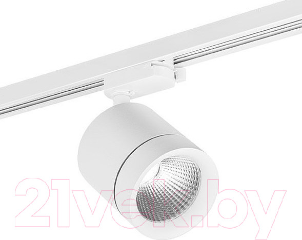 Изображение товара Трековый светильник Lightstar Canno 301264