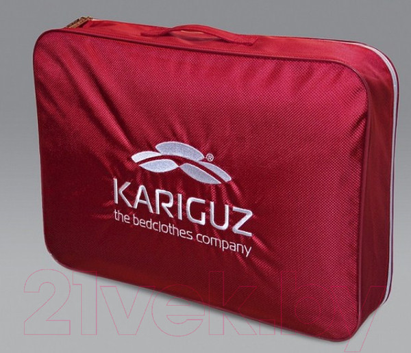 Изображение товара Подушка для сна Kariguz Био Тенсель / 3БТ15-5 (68x68)