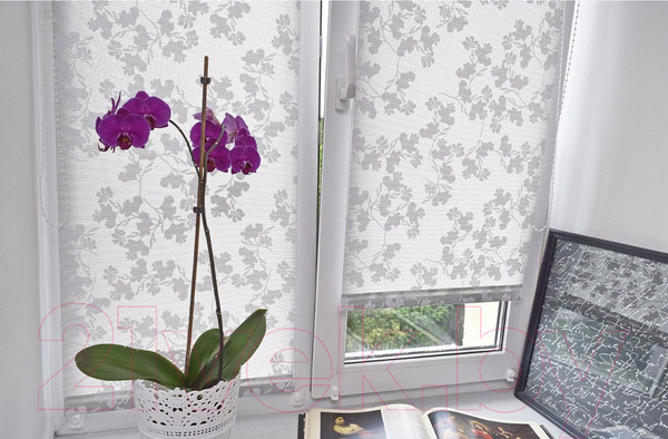 Изображение товара Рулонная штора Delfa Сантайм Глория СРШ-01М 2461 (81x170, лира)