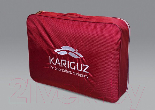 Изображение товара Подушка для сна Kariguz Рафаэла / РФ13-5 (68x68)