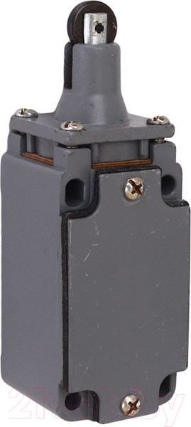 Изображение товара Выключатель путевой TDM SQ0732-0008