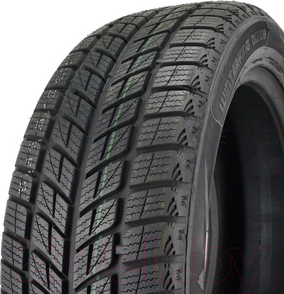 Изображение товара Зимняя шина DoubleStar DW09 235/55R20 102H