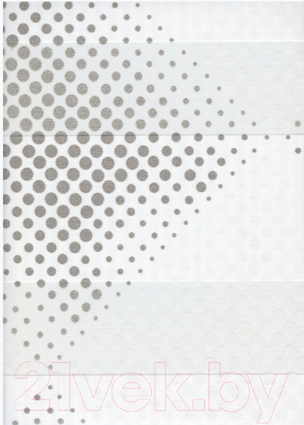 Изображение товара Рулонная штора Delfa Сантайм День Ночь Бола СРШ-01МК 42010 (68x160, белый/серебро)