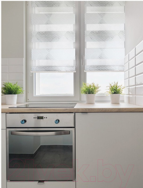 Изображение товара Рулонная штора Delfa Сантайм День Ночь Бола СРШ-01МК 42010 (81x160, белый/серебро)