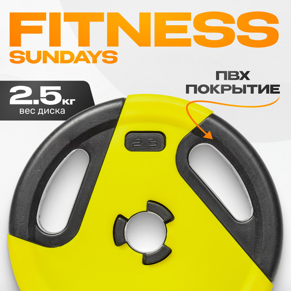 Изображение товара Диск для штанги Sundays Fitness IR91041 (2.5кг)