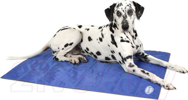 Изображение товара Подстилка для животных Scruffs Cool Mat / 934613 (голубой)