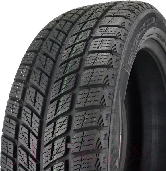 Изображение товара Зимняя шина DoubleStar DW09 315/35R20 106T