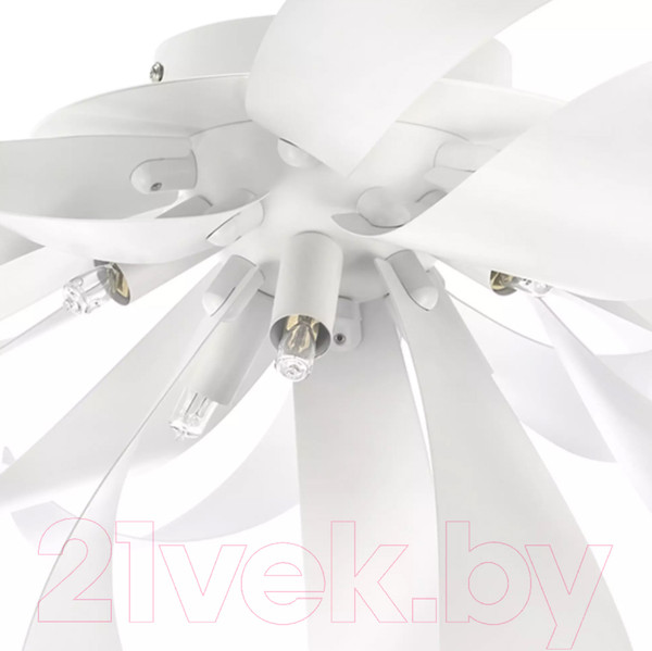 Изображение товара Потолочный светильник Lightstar Turbio 754166