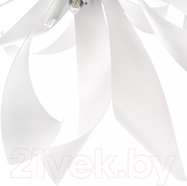 Изображение товара Потолочный светильник Lightstar Turbio 754166