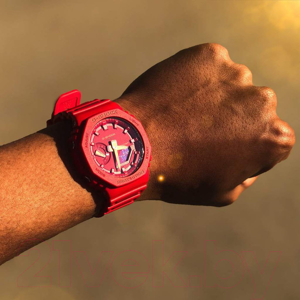 Изображение товара Часы наручные мужские Casio GA-2100-4AER