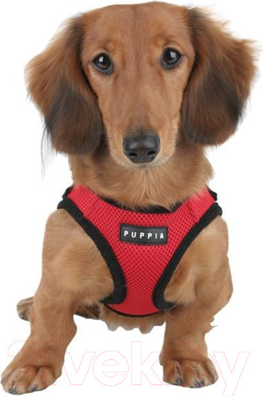 Изображение товара Шлея-жилетка для животных Puppia Soft Vest / PAHA-AH305-RD-S (красный)