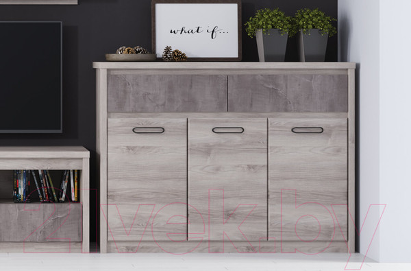 Изображение товара Тумба Anrex Jazz 3D2S (каштан найроби/оникс)