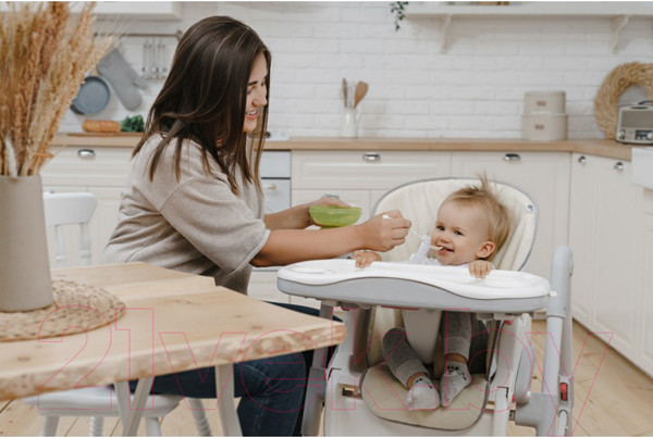 Изображение товара Вкладыш в стульчик для кормления Roxy-Kids RCL-013BG (бежевый)