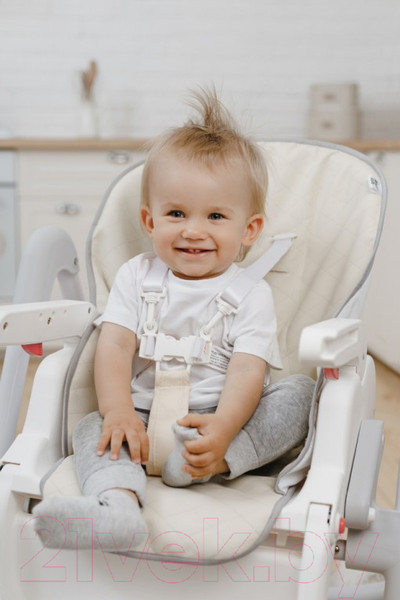 Изображение товара Вкладыш в стульчик для кормления Roxy-Kids RCL-013BG (бежевый)