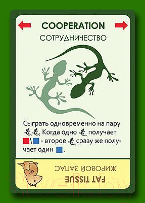 Изображение товара Настольная игра Правильные Игры Эволюция / Evolution 13-01-01