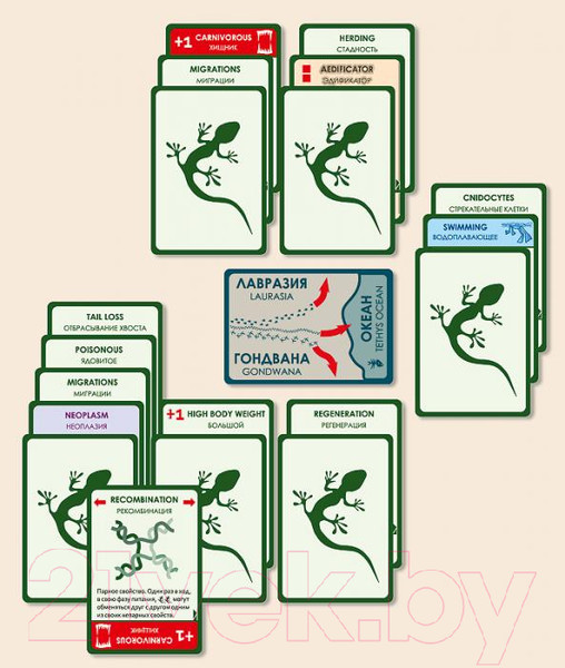 Изображение товара Дополнение к настольной игре Правильные Игры Эволюция / Evolution 13-01-03 (дополнение: Континенты)