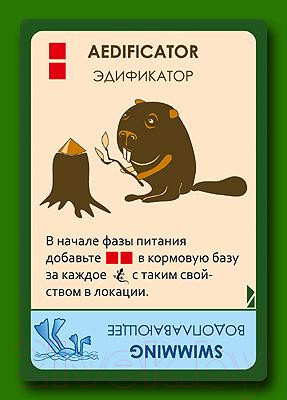 Изображение товара Дополнение к настольной игре Правильные Игры Эволюция / Evolution 13-01-03 (дополнение: Континенты)