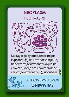 Изображение товара Дополнение к настольной игре Правильные Игры Эволюция / Evolution 13-01-03 (дополнение: Континенты)