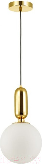 Изображение товара Потолочный светильник Odeon Light Okia 4669/1