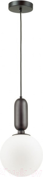 Изображение товара Потолочный светильник Odeon Light Okia 4668/1