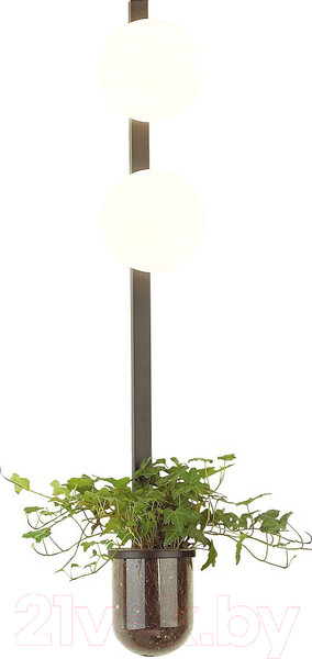 Изображение товара Светильник Odeon Light Flower 4681/2WA