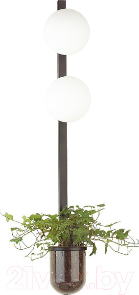 Изображение товара Светильник Odeon Light Flower 4681/2WA