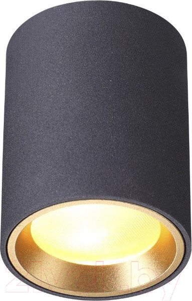 Изображение товара Точечный светильник Odeon Light Aquana 4205/1C