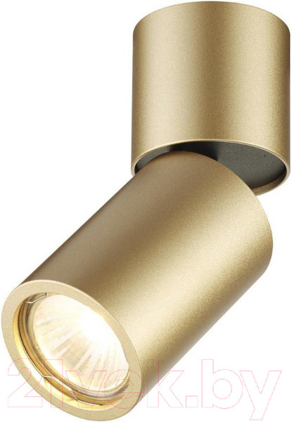 Изображение товара Точечный светильник Odeon Light Duetta 3895/1C