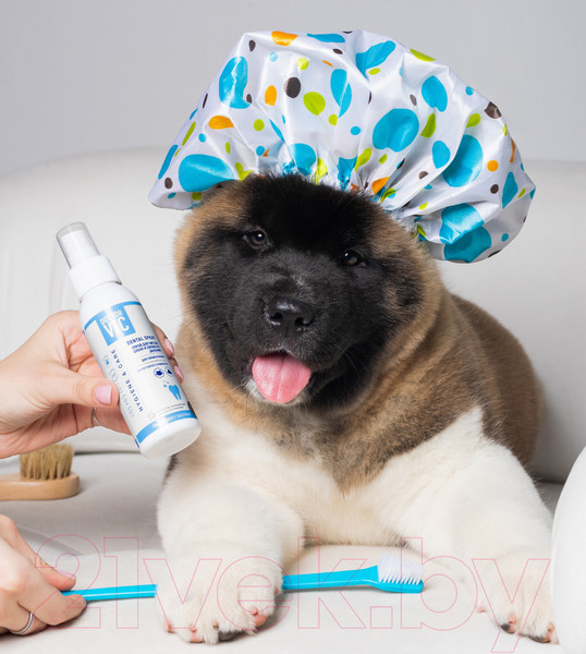 Изображение товара Средство для ухода за полостью рта животных Doctor VIC Для чистки зубов и свежести дыхания (100мл)