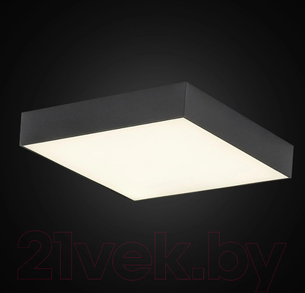 Изображение товара Потолочный светильник Citilux Тао CL712X242N