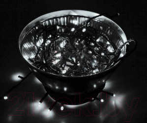 Изображение товара Светодиодная гирлянда Neon-Night Твинкл Лайт 303-115 (20м, белый)