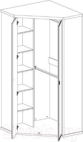 Изображение товара Шкаф Anrex Magellan 2D (сосна винтаж)